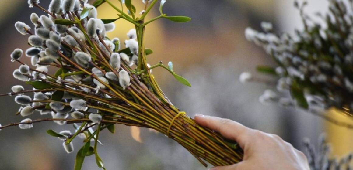 У Вінниці на Вербну неділю освячуватимуть «котики»: розклад богослужінь