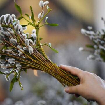 2616579 У Вінниці на Вербну неділю освячуватимуть «котики»: розклад богослужінь