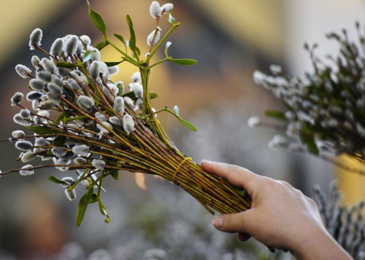 У Вінниці на Вербну неділю освячуватимуть «котики»: розклад богослужінь