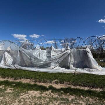Розтрощені теплиці та збитки на сотні тисяч: як негода вдарила по фермерах Вінниччини
