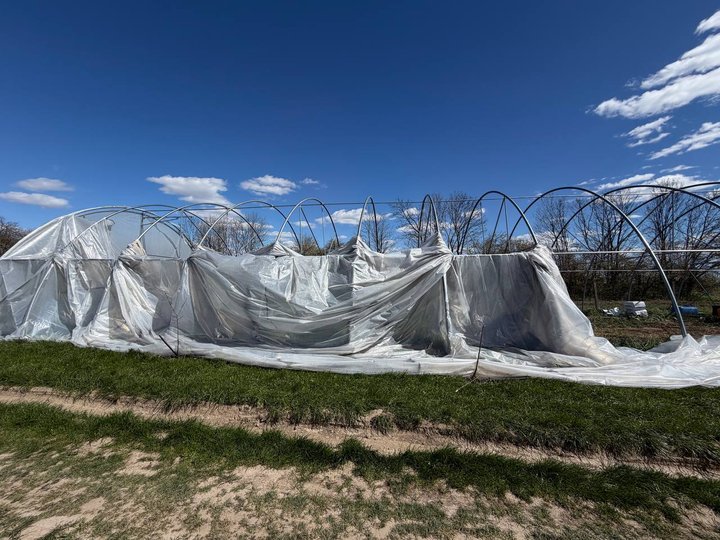 Розтрощені теплиці та збитки на сотні тисяч: як негода вдарила по фермерах Вінниччини