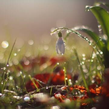 На Вінниччину йдуть перші грози та теплий дощ