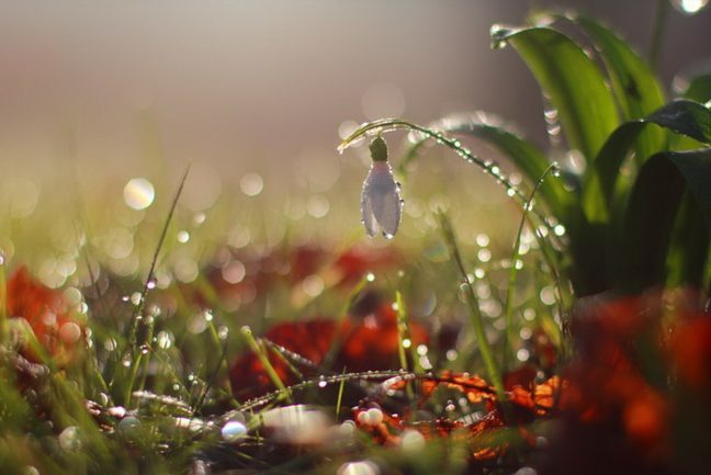 На Вінниччину йдуть перші грози та теплий дощ