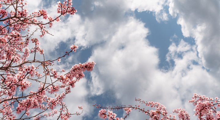 Заморозки вночі й дощ удень: погода 30 квітня на Вінниччині