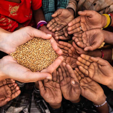 Глобальний голод загострюється: війни, посуха та скорочення допомоги погіршать ситуацію у 2026 році