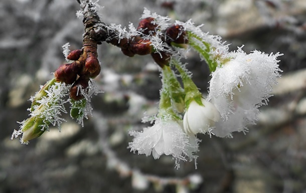 Заморозки до -5°: попередження для мешканців Вінниччини