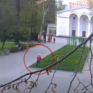 У парках Вінниці зникають квіти через крадіжки та недбалість відвідувачів