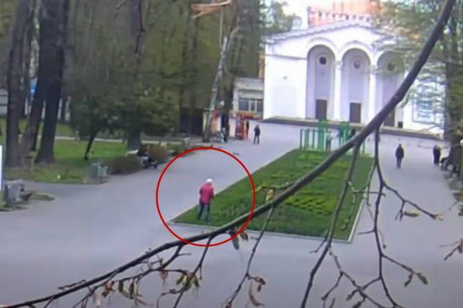 У парках Вінниці зникають квіти через крадіжки та недбалість відвідувачів