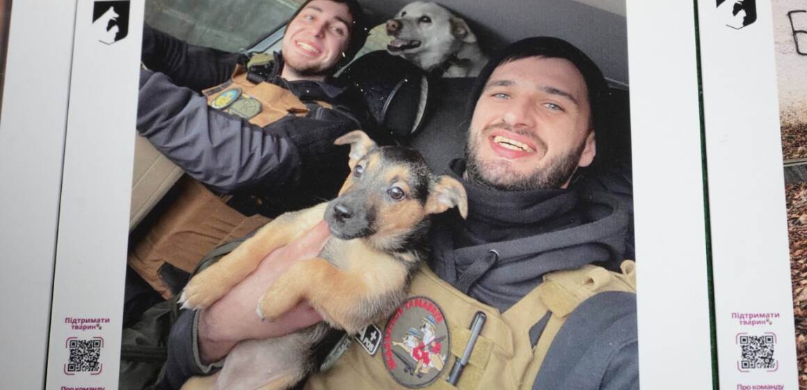«Евакуація життя»: у Вінницьці відкрили фотовиставку про порятунок тварин із пекла війни