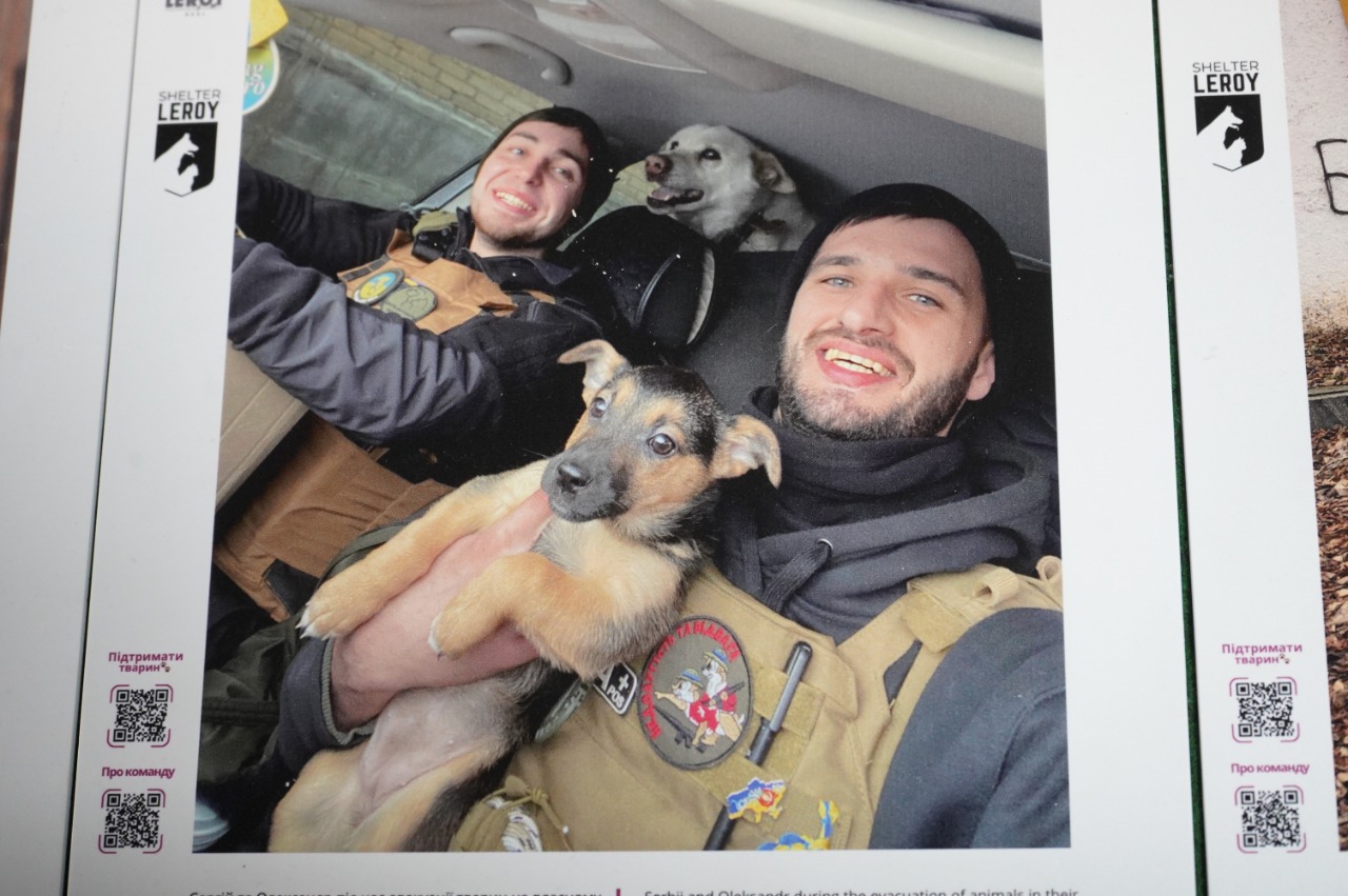 «Евакуація життя»: у Вінницьці відкрили фотовиставку про порятунок тварин із пекла війни