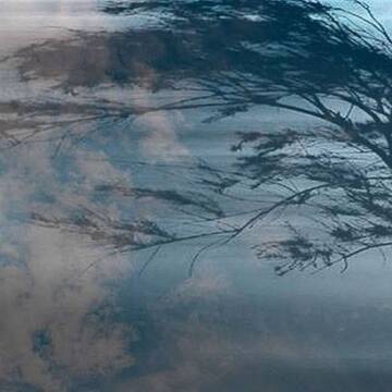 56500843_839665123060134_5045826805970239488_n Штормове попередження, сильний вітер та нічні заморозки