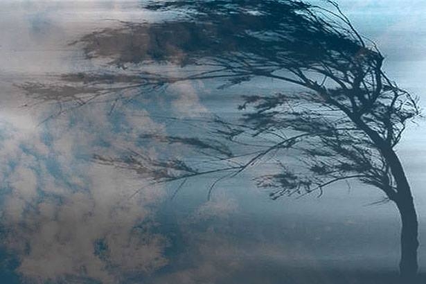 Штормове попередження, сильний вітер та нічні заморозки