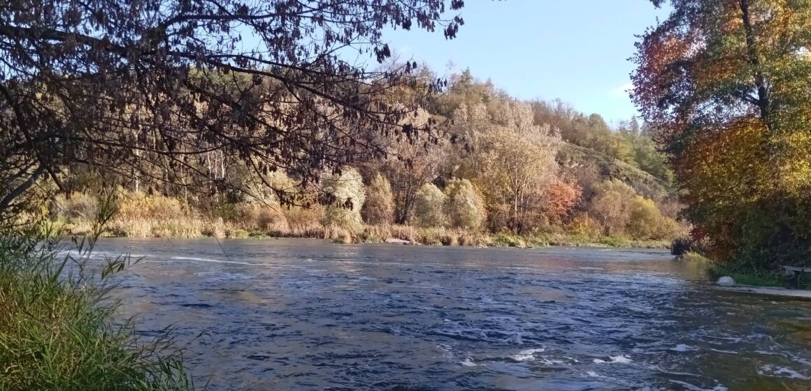 Екологічна тривога на Вінниччині: у Печері та Сокільці можуть зникнути знамениті пороги