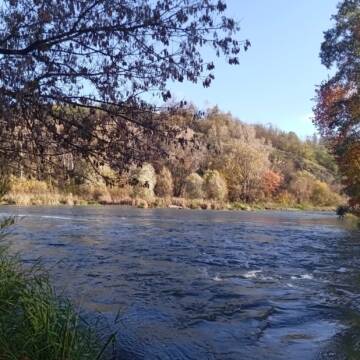 Екологічна тривога на Вінниччині: у Печері та Сокільці можуть зникнути знамениті пороги