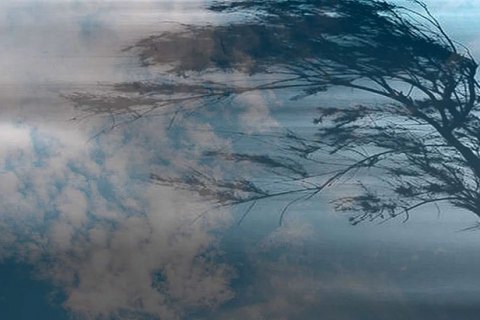 На Вінниччині оголошено ІІ рівень небезпечності через сильний вітер