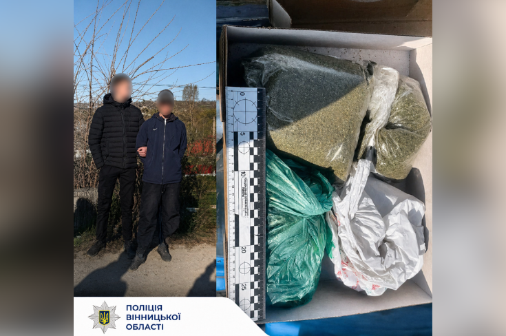 На Вінниччині у чоловіка вилучили близько 500 грамів канабісу