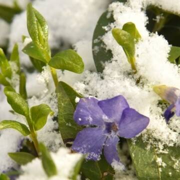 Дощ із мокрим снігом та шквальний вітер: погода у Вінниці 8 квітня