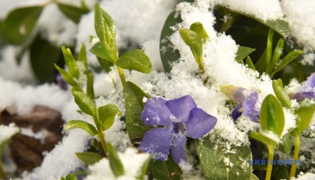 Дощ із мокрим снігом та шквали: погода у Вінниці 8 квітня
