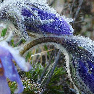 630_360_1586856999-551 Погода у Вінниці 10 квітня: нічний мінус та денне сонце