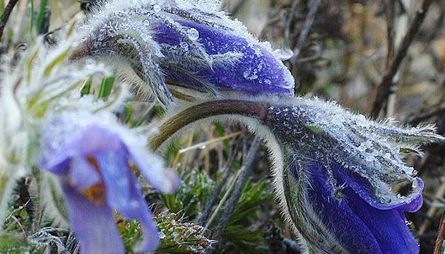 Погода у Вінниці 10 квітня: нічний мінус та денне сонце