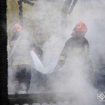 Пожежа на Келецькій у Вінниці: рятувальники ліквідували займання альтанки (ВІДЕО)