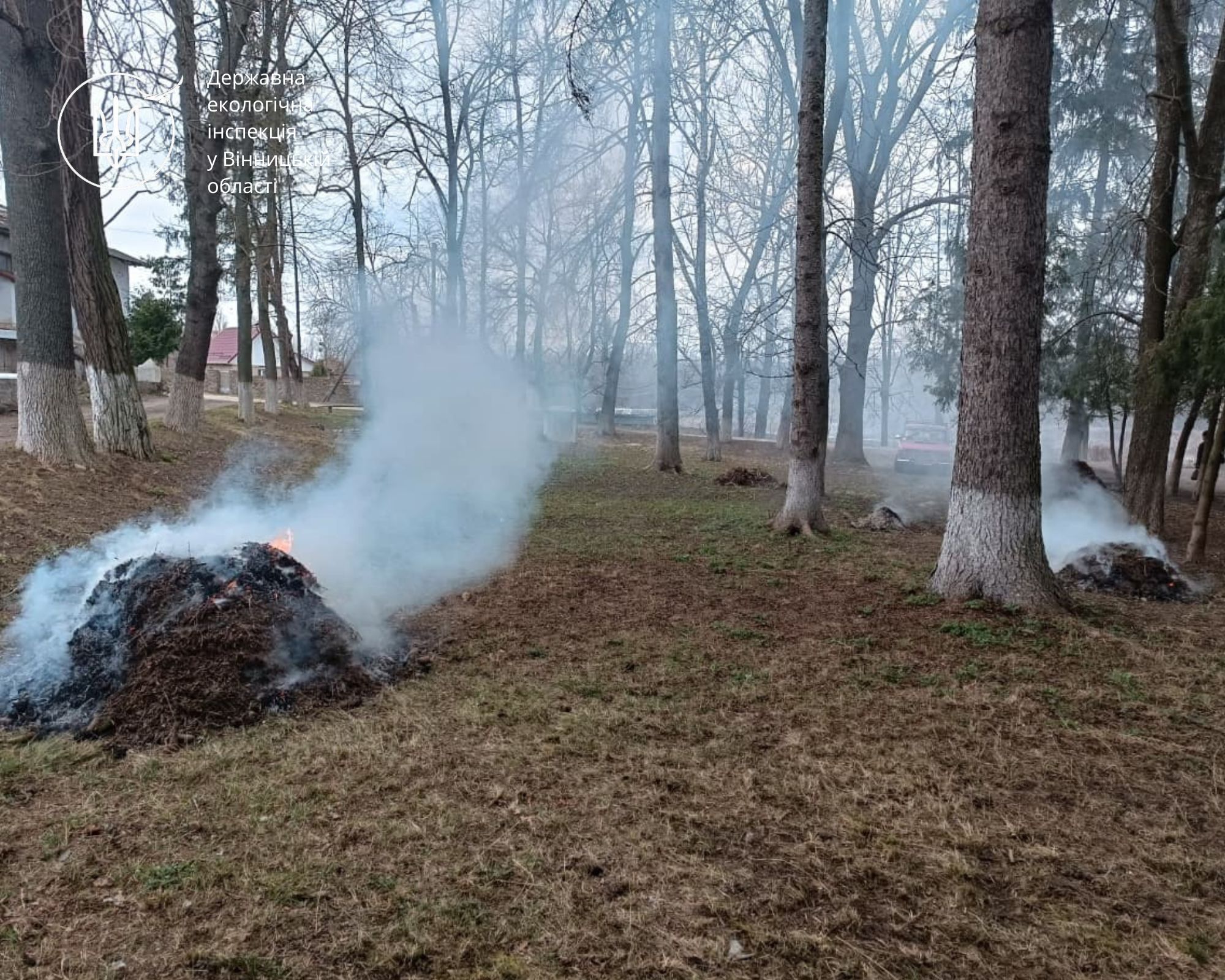 Дороге прибирання: у Джурині місцевий заплатить понад 3000 грн за спалене листя