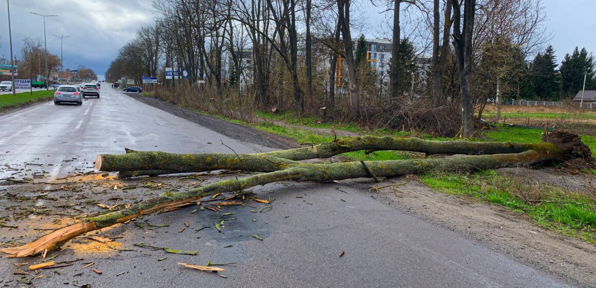 Дев’ять разів за добу рятувальники Вінниччини розчищали дороги (ВІДЕО)