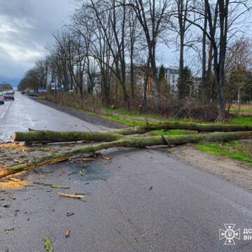 Дев’ять разів за добу рятувальники Вінниччини розчищали дороги (ВІДЕО)