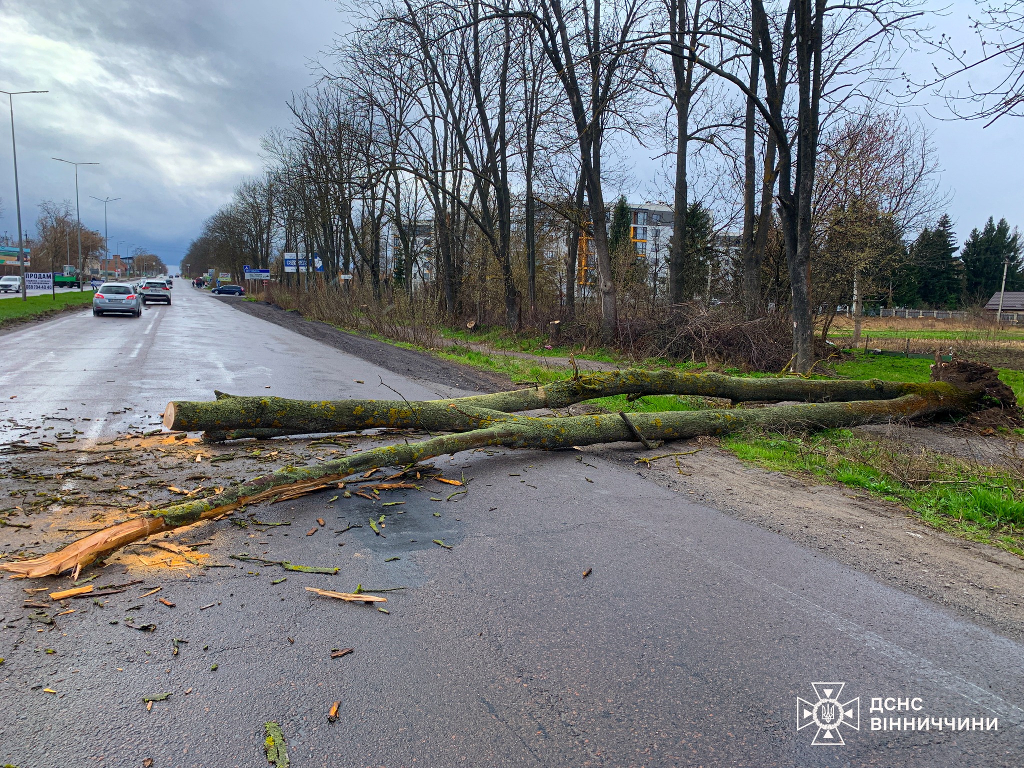Дев’ять разів за добу рятувальники Вінниччини розчищали дороги (ВІДЕО)