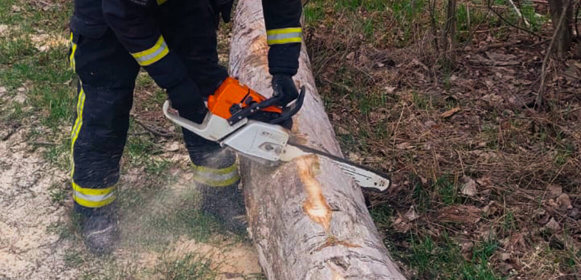 Через негоду на Вінниччині рятувальники розчищають дороги від повалених дерев