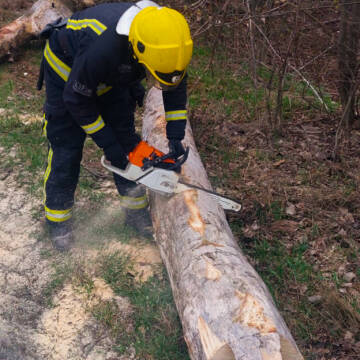 Через негоду на Вінниччині рятувальники розчищають дороги від повалених дерев