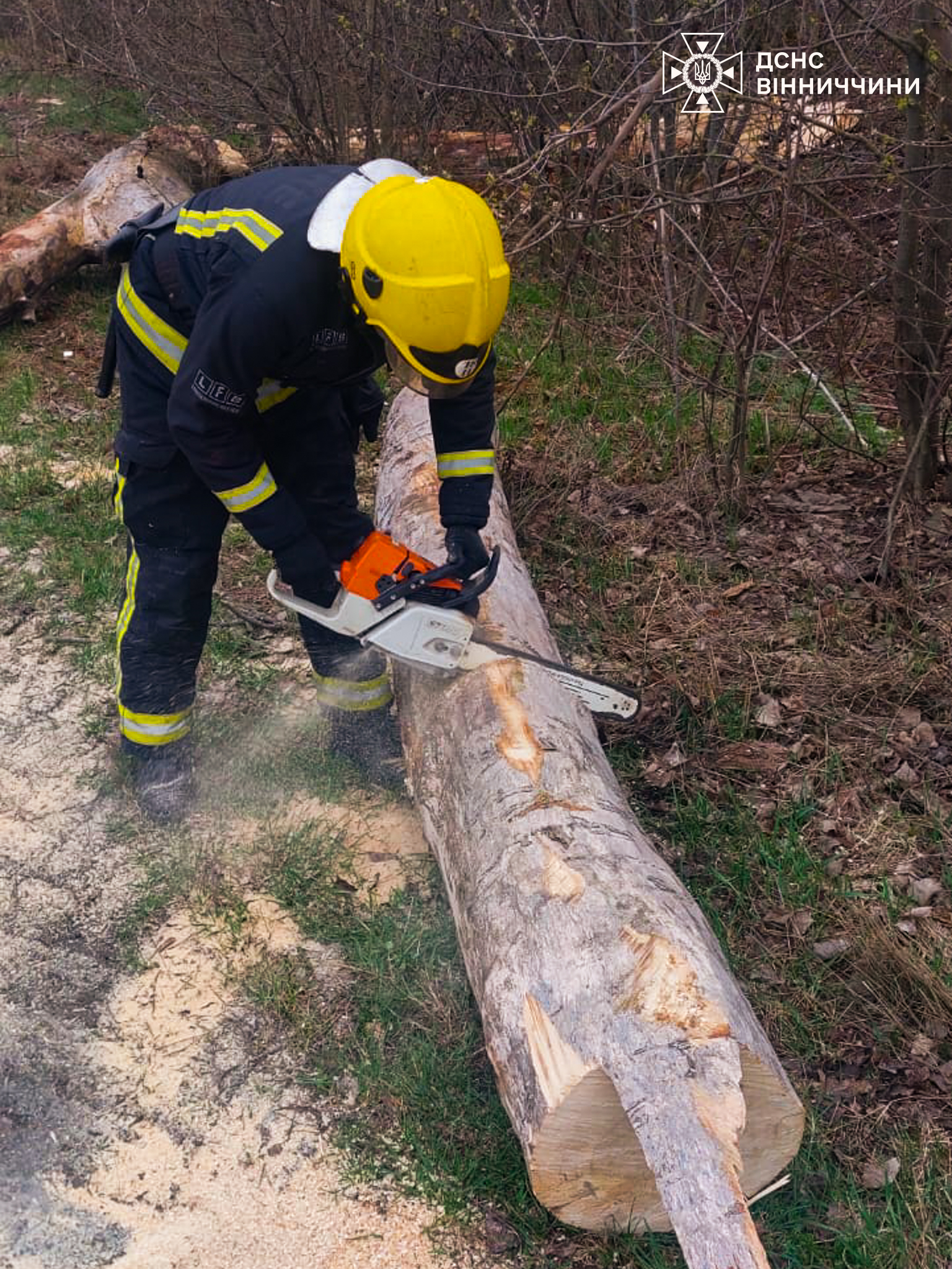 Через негоду на Вінниччині рятувальники розчищають дороги від повалених дерев