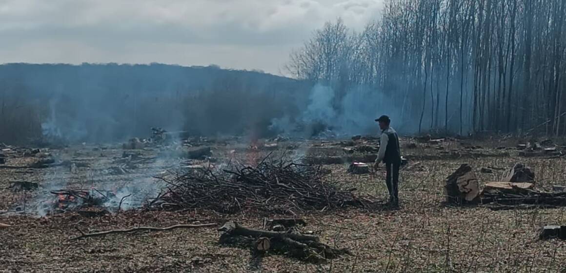 Мешканця Іллінеччини оштрафували на 4500 гривень за вогонь біля лісу