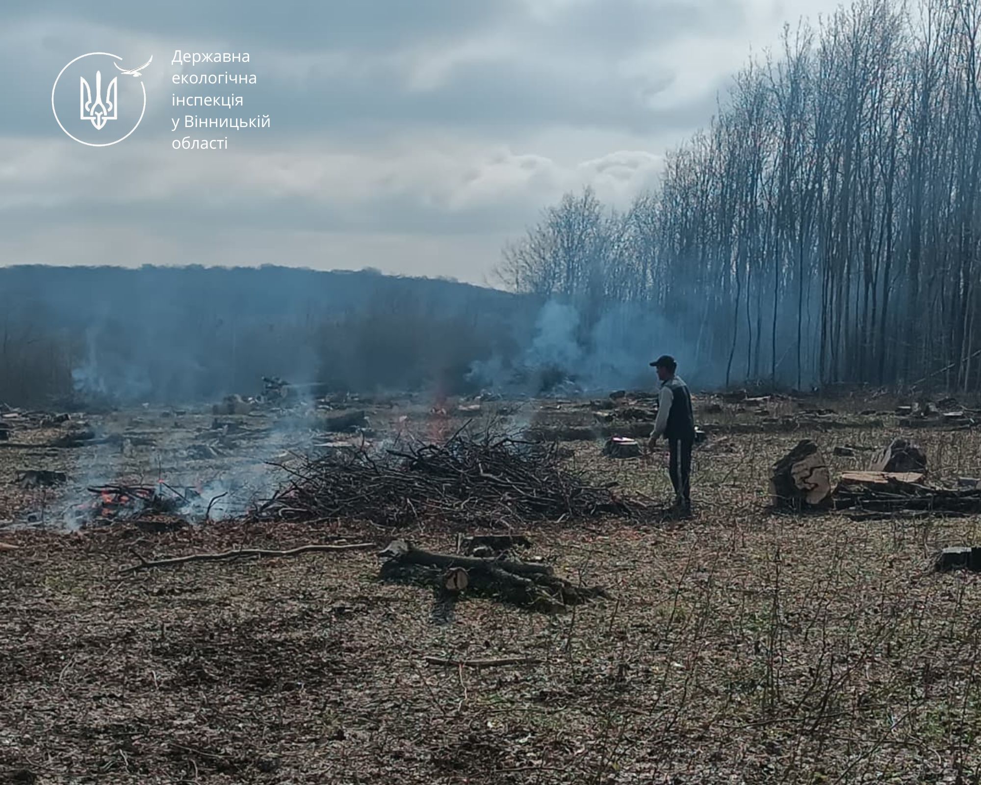 Мешканця Іллінеччини оштрафували на 4500 гривень за вогонь біля лісу