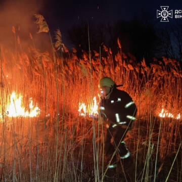 18 гектарів випаленої землі за добу зафіксовано на Вінниччині