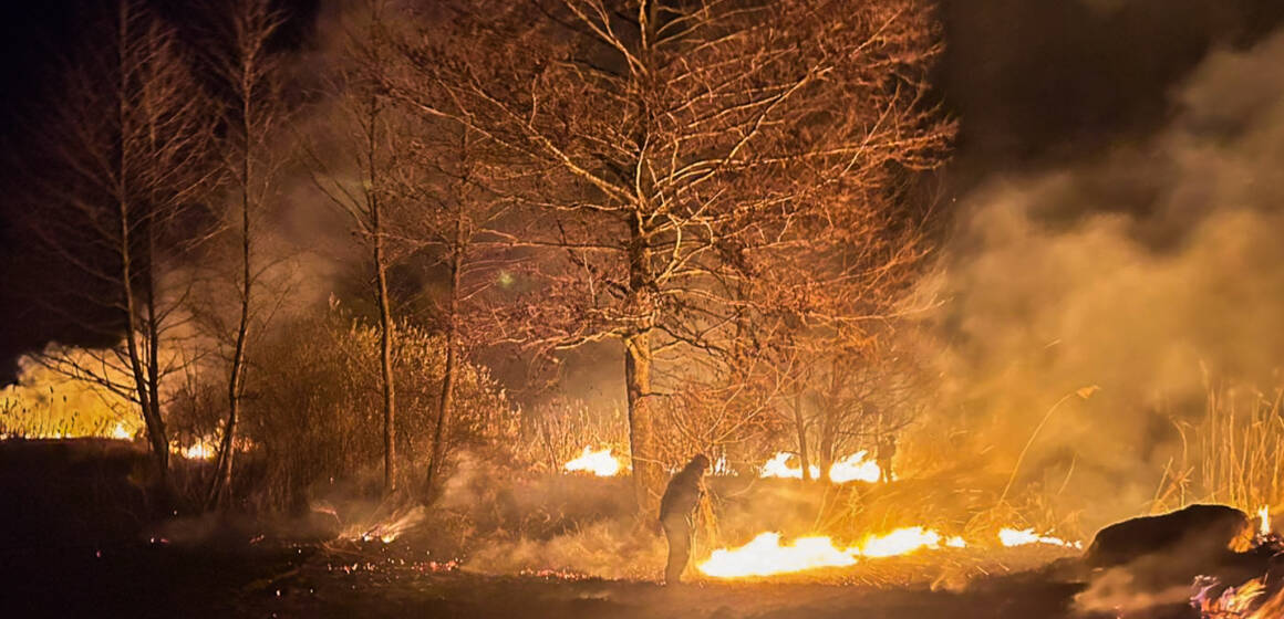 На Вінниччині згоріли склади та гектари сухостою