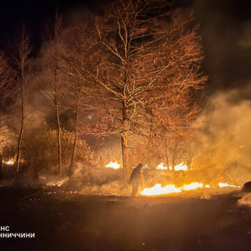 На Вінниччині згоріли склади та гектари сухостою