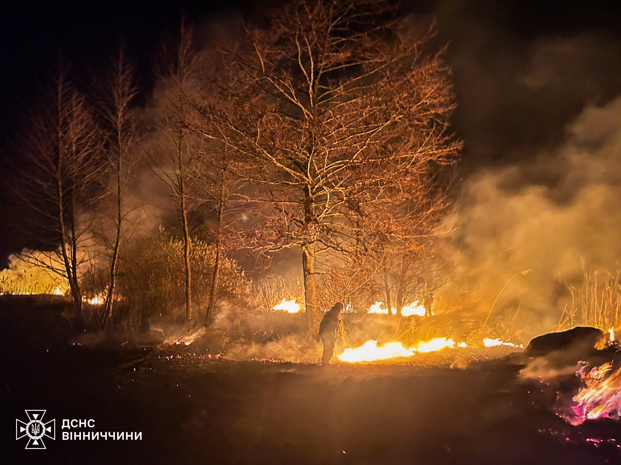 На Вінниччині згоріли склади та гектари сухостою