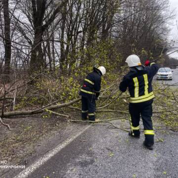У Козятині та Літині рятувальники прибирали дерева з доріг після нічного буревію