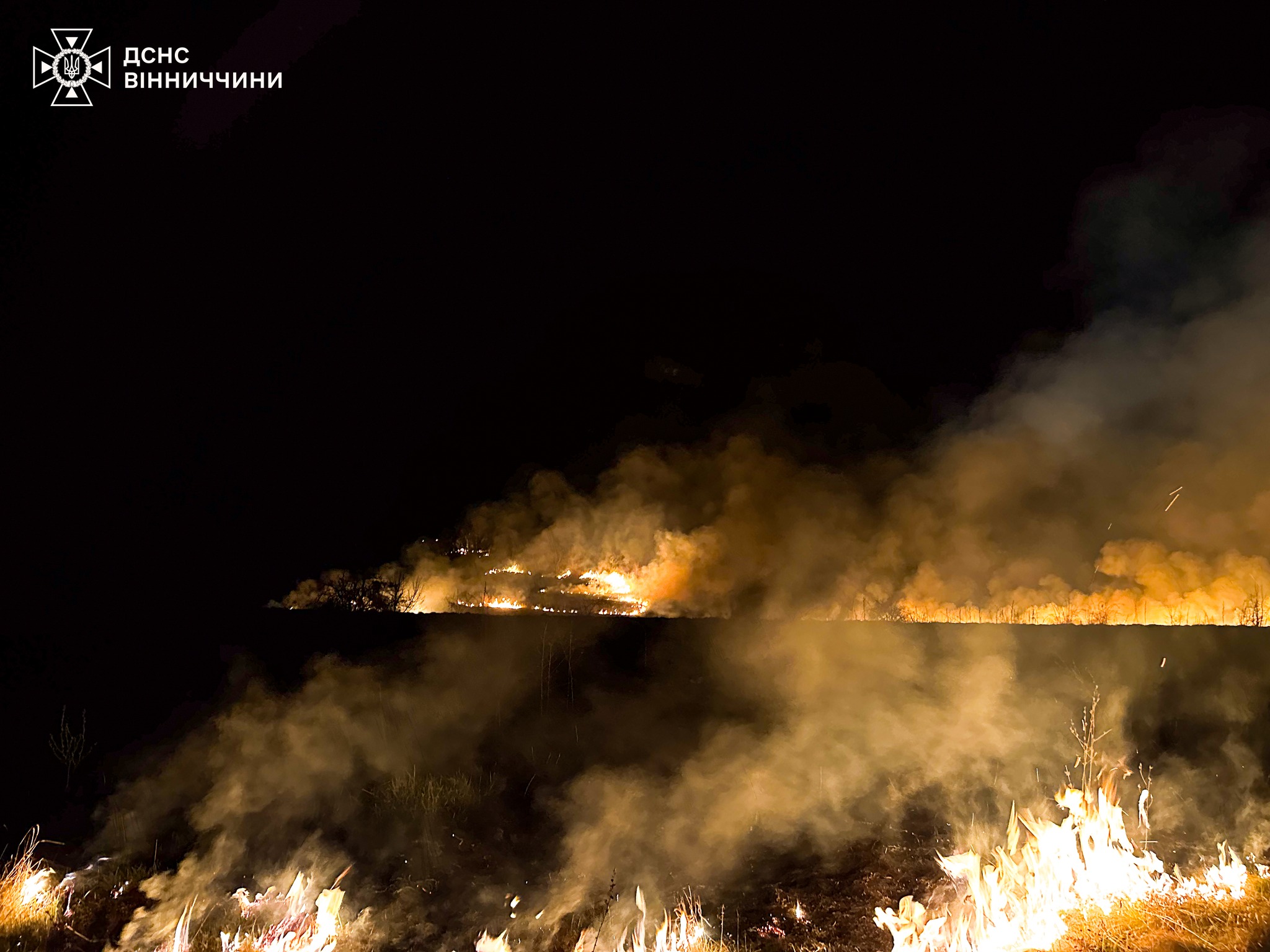 6 га згарища за добу: на Вінниччині стрімко зростає кількість пожеж в екосистемах