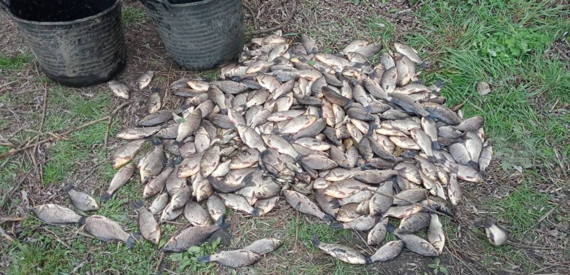 670971938_1269613865359993_7799740744321329653_n На Вінниччині викрили масштабне браконьєрство під час нересту