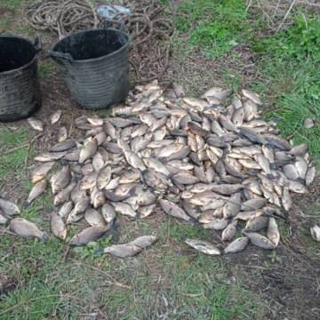 670971938_1269613865359993_7799740744321329653_n На Вінниччині викрили масштабне браконьєрство під час нересту