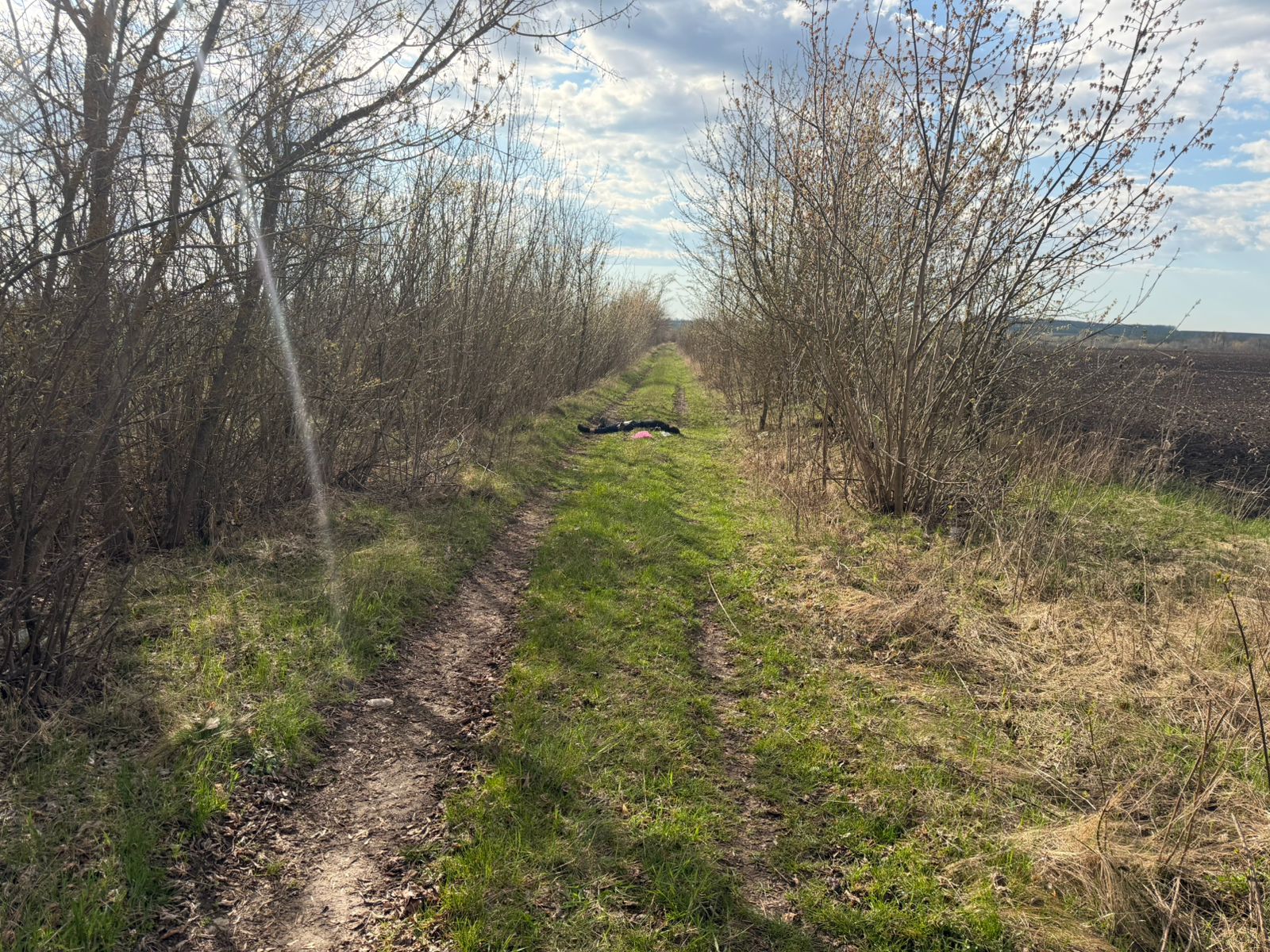 Нетверезому водію, причетному до загибелі людини на Вінниччині, обрано запобіжний захід