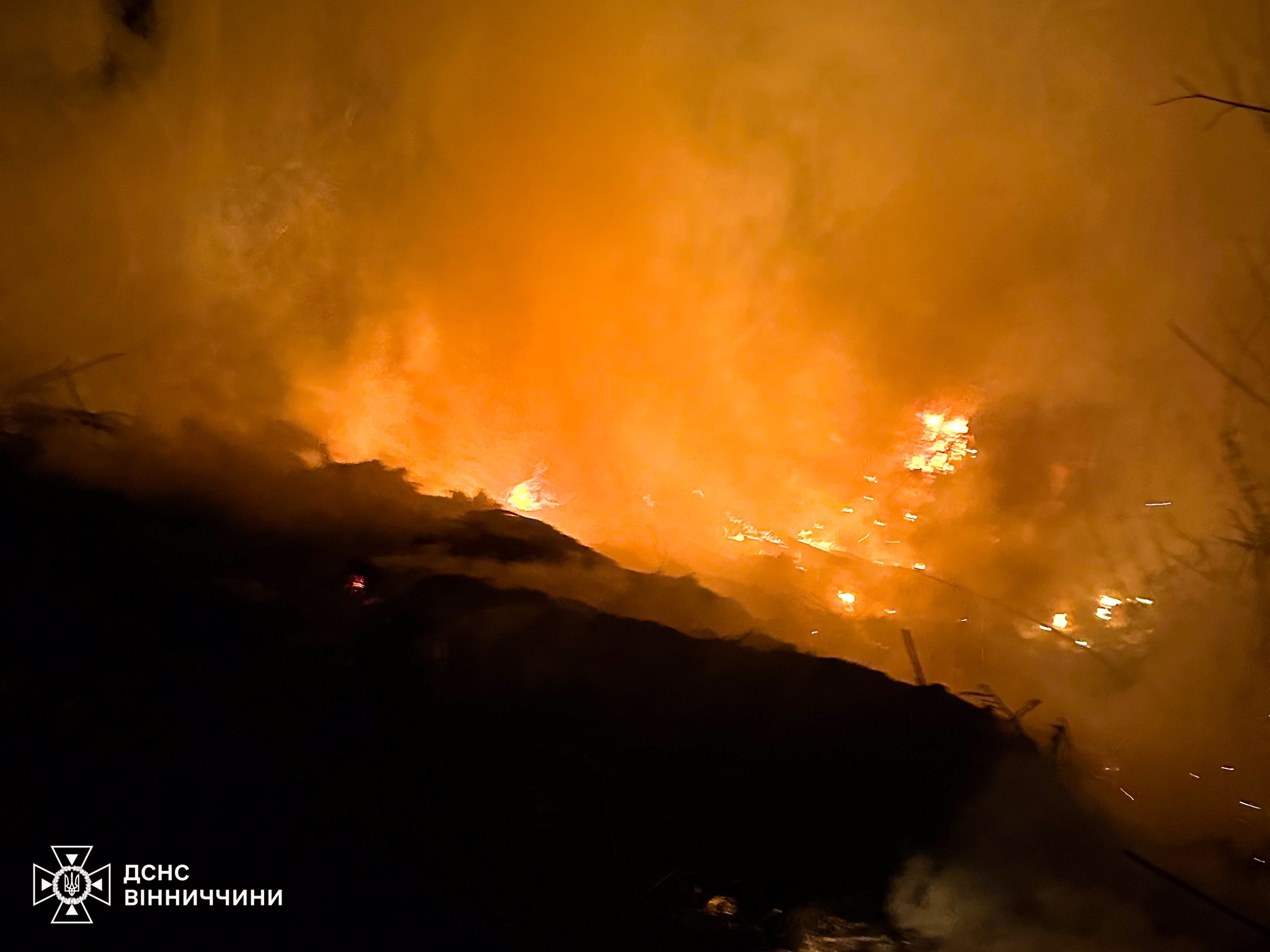 6 га згарища за добу: на Вінниччині стрімко зростає кількість пожеж в екосистемах