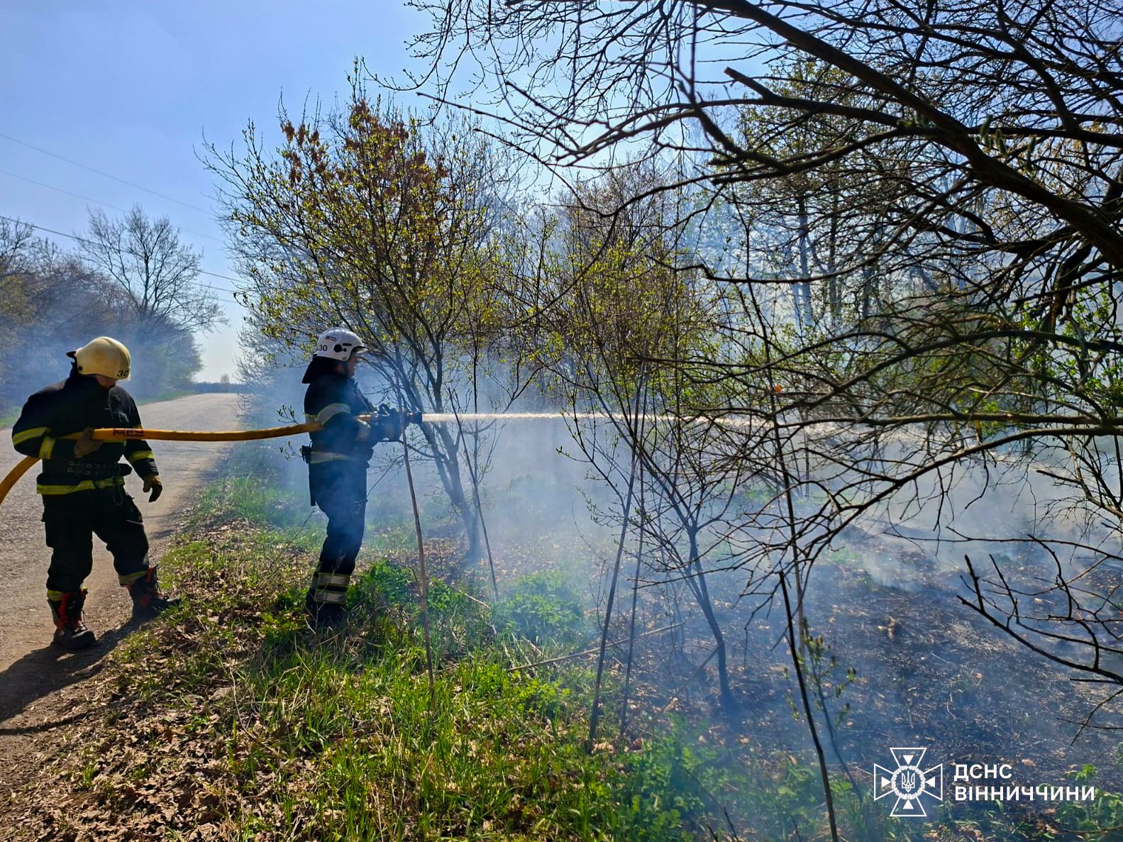 6 га згарища за добу: на Вінниччині стрімко зростає кількість пожеж в екосистемах