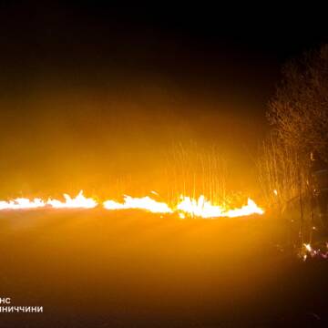 6 га згарища за добу: на Вінниччині стрімко зростає кількість пожеж в екосистемах