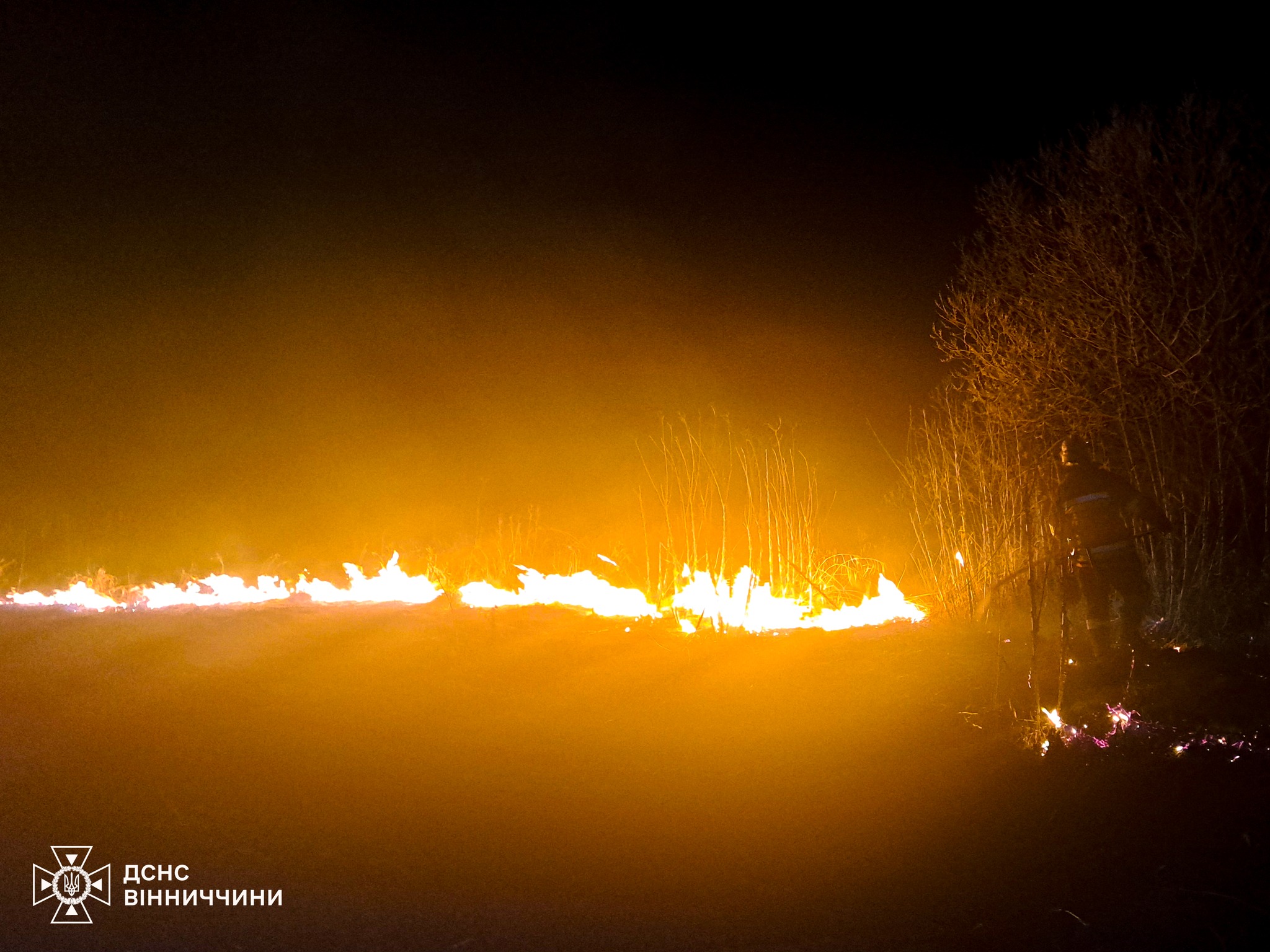 6 га згарища за добу: на Вінниччині стрімко зростає кількість пожеж в екосистемах
