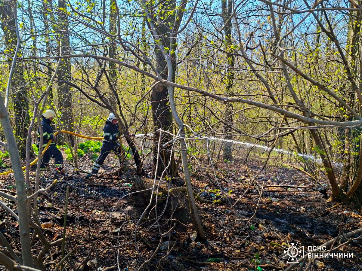 6 га згарища за добу: на Вінниччині стрімко зростає кількість пожеж в екосистемах