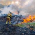 На Вінниччині з початку року внаслідок пожеж загинуло 40 людей