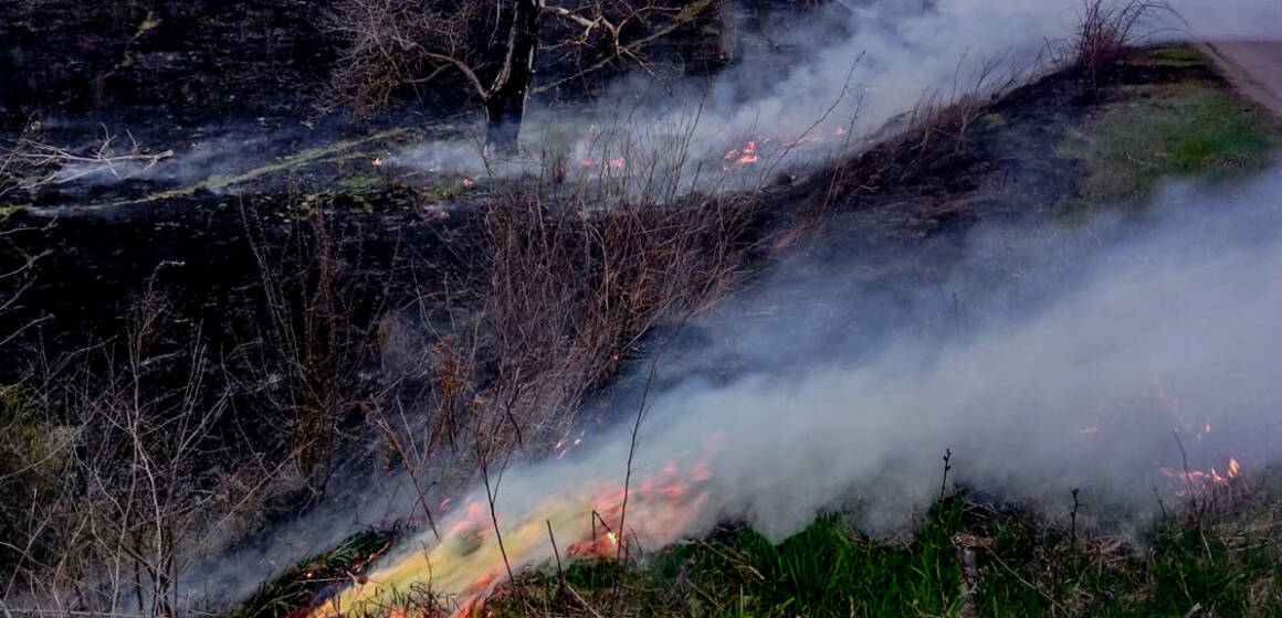 Пожежі на Вінниччині: горіли будинки та суха рослинність